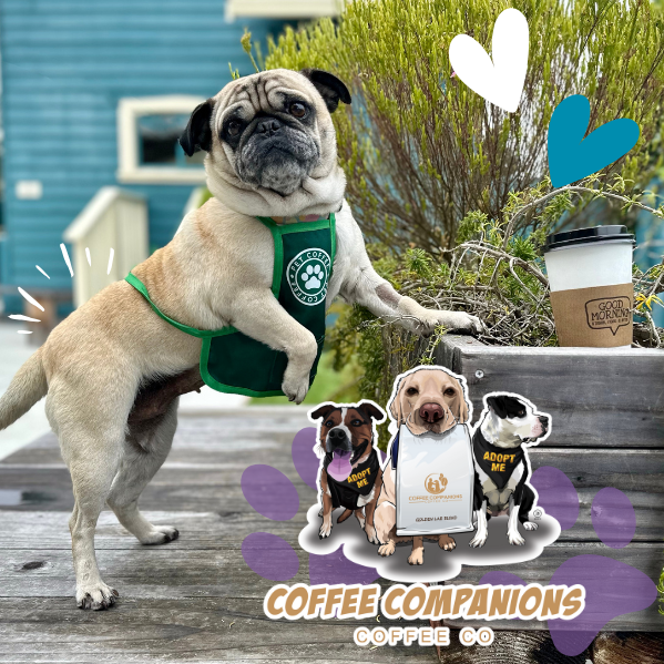 Companion-sip